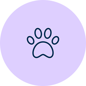 Icon: Pet friendly